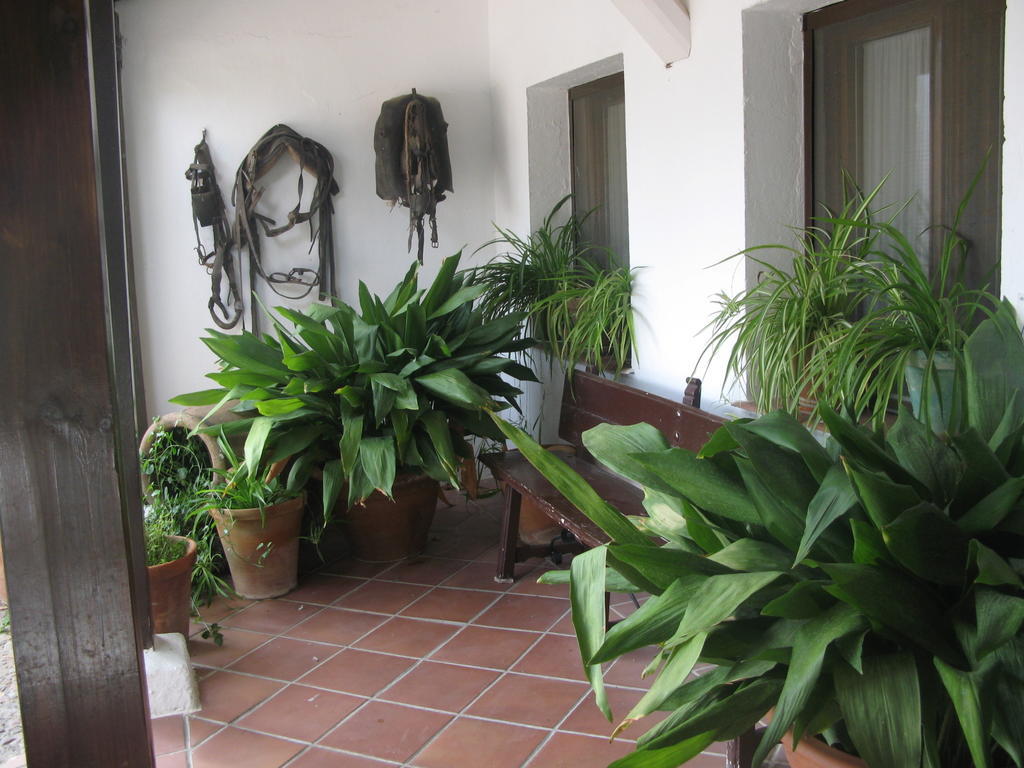Hotel El Puerto Puerto Lápice Zewnętrze zdjęcie